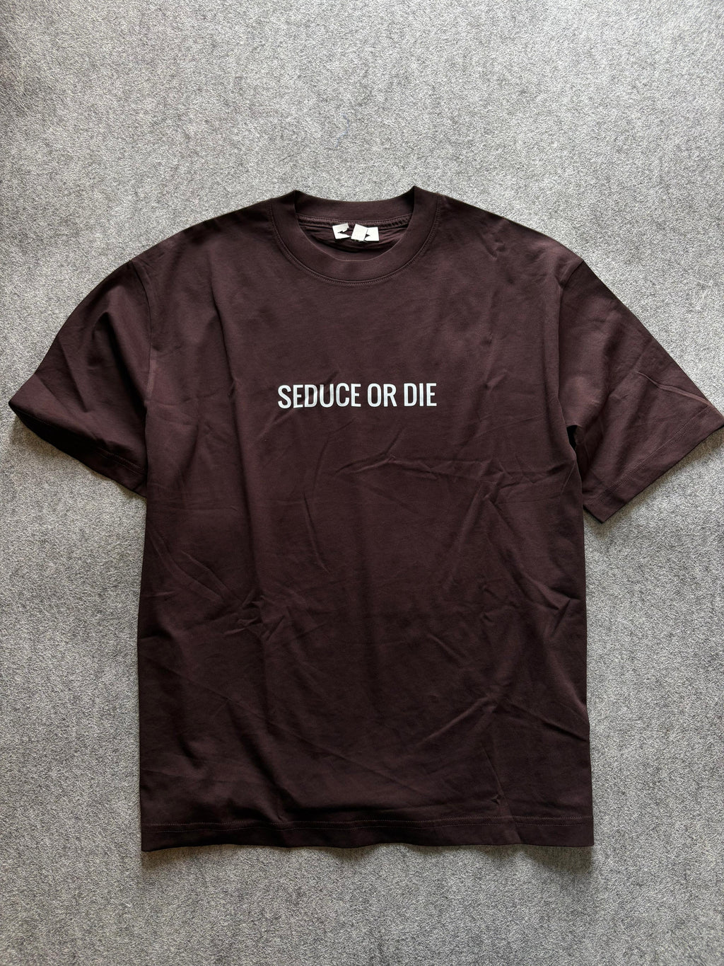 SEDUCE OR DIE Oversized Tees